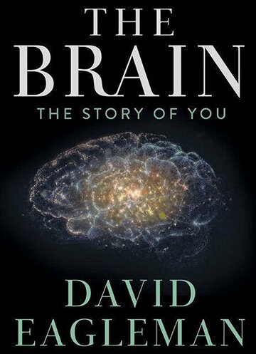 Мозг с Дэвидом Иглменом